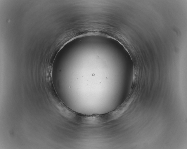 X0000111890237200907231603