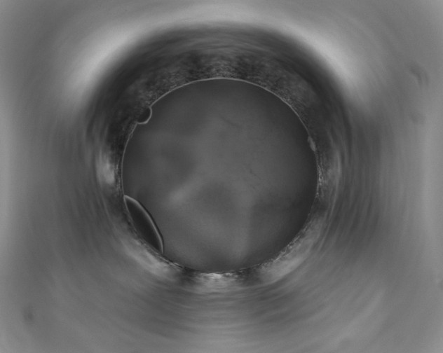 X0000111890239200907231603