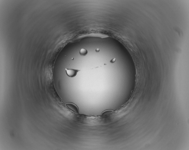 X0000111890240200907231603