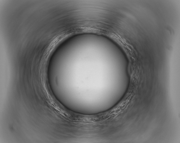 X0000111890241200907231602