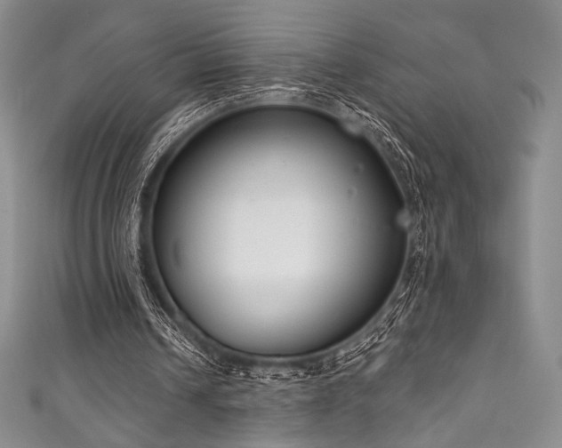 X0000111890242200907231602