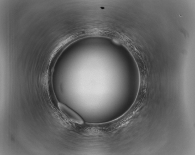 X0000111890244200907231602