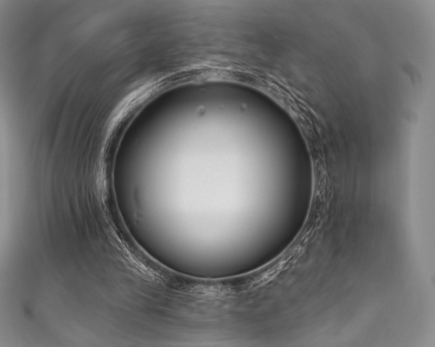 X0000111890245200907231602