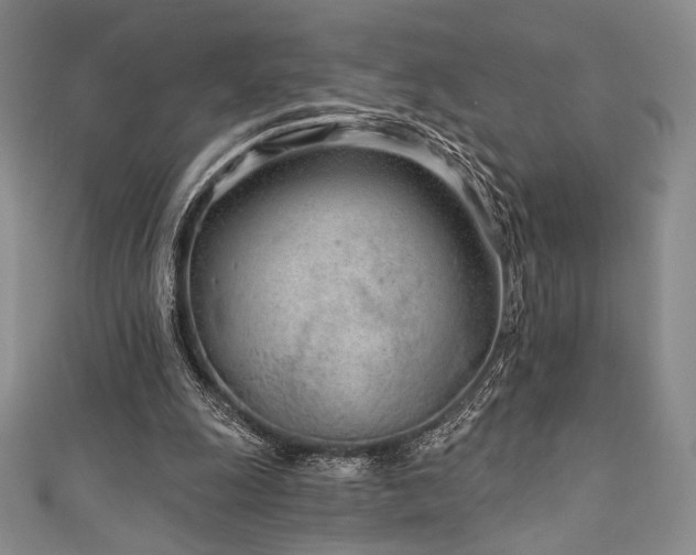 X0000111890247200907231602