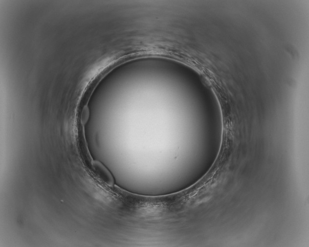 X0000111890248200907231602