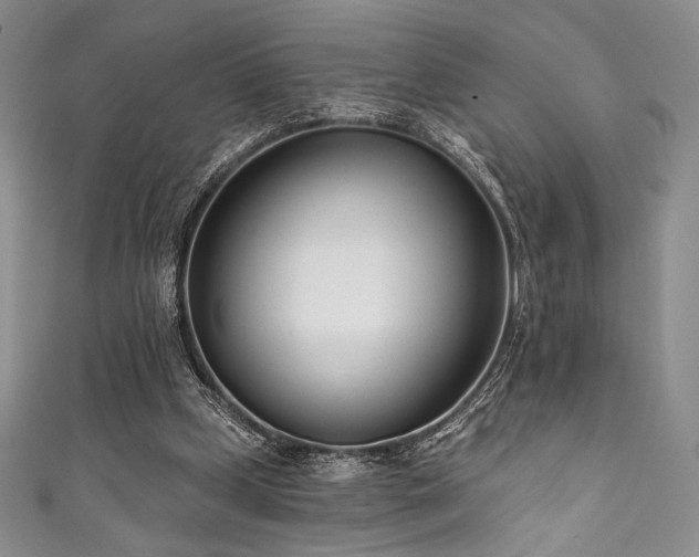 X0000111890249200907231602