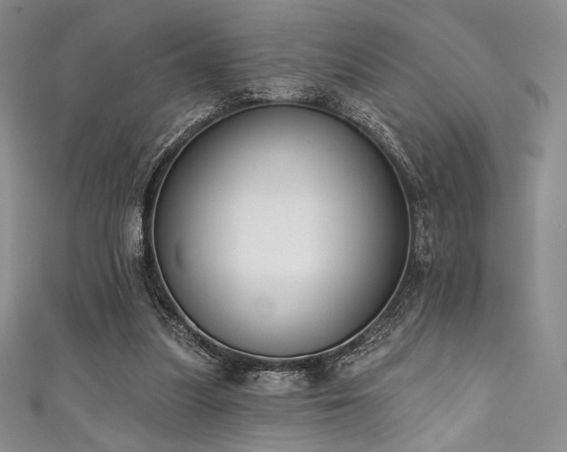 X0000111890251200907231602