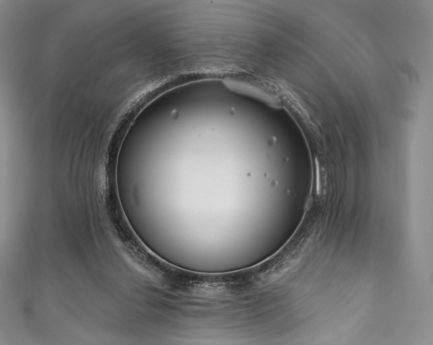 X0000111890252200907231602