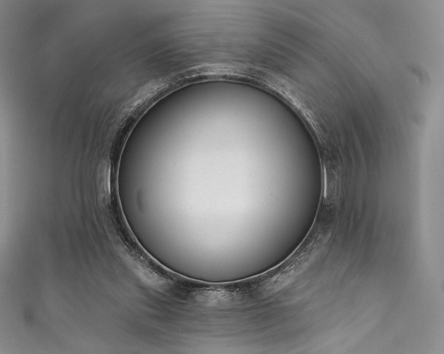 X0000111890253200907231602