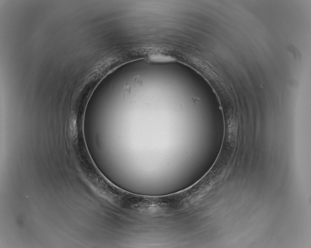 X0000111890254200907231602