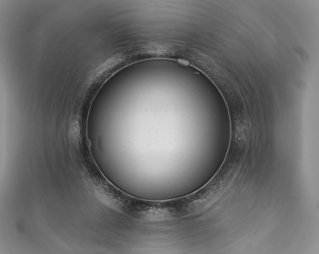 X0000111890256200907231602