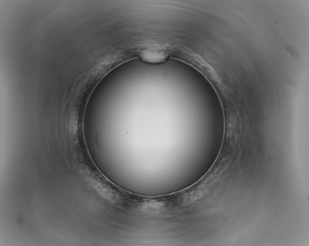 X0000111890257200907231602