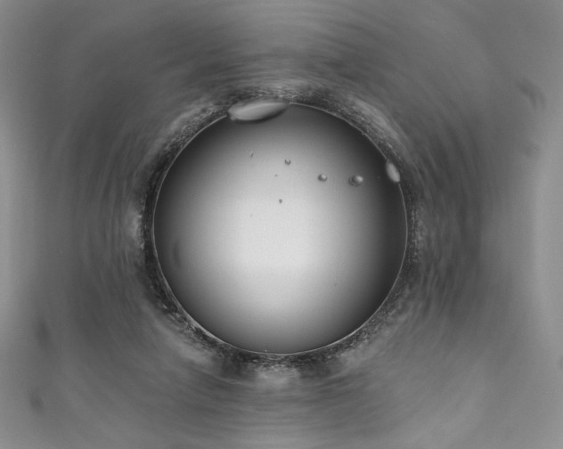 X0000111890258200907231602