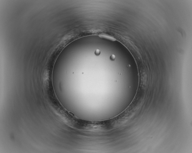 X0000111890260200907231602