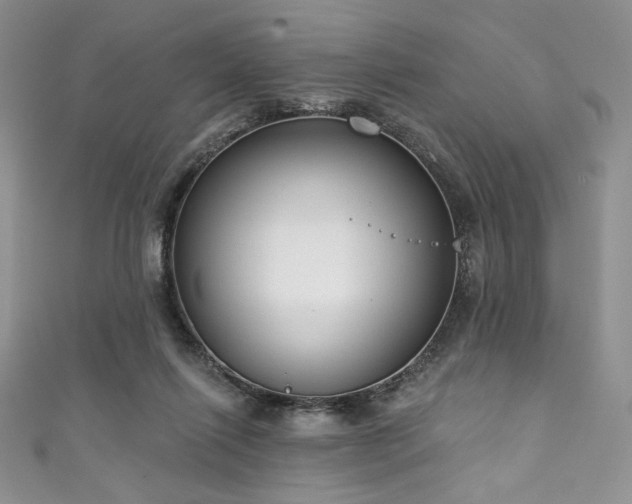 X0000111890262200907231602