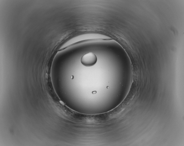 X0000111890264200907231602