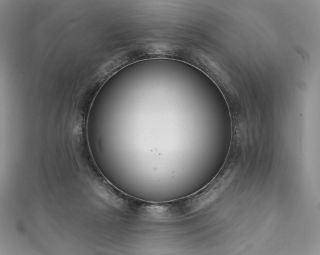 X0000111890265200907231602