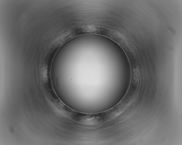 X0000111890267200907231602