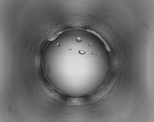 X0000111890268200907231602