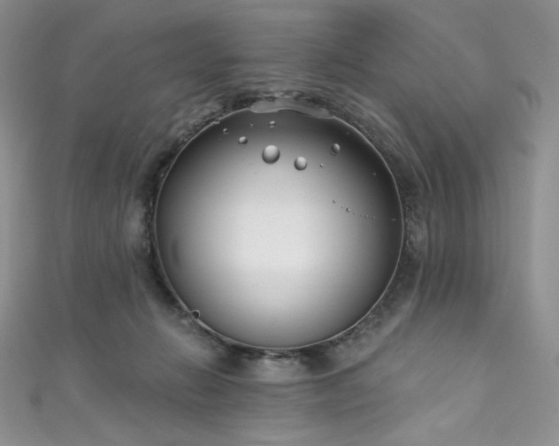 X0000111890270200907231602