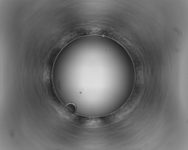 X0000111890274200907231603