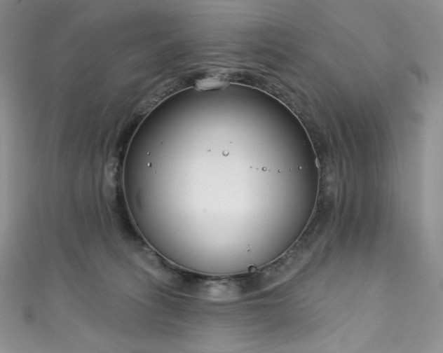 X0000111890275200907231603