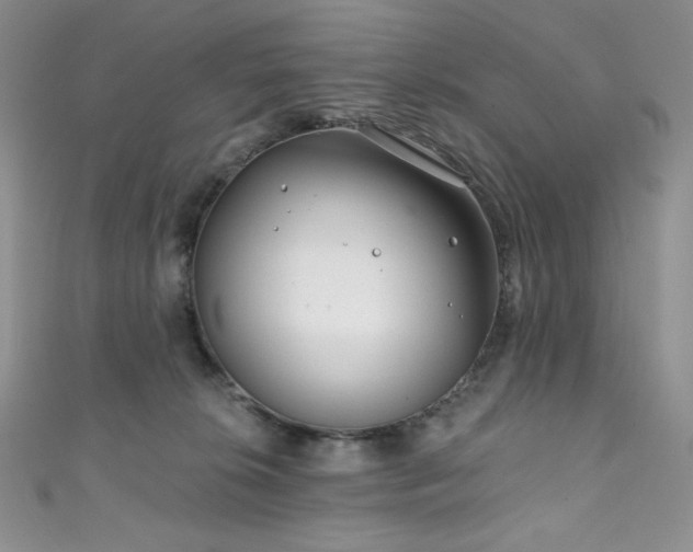 X0000111890276200907231603