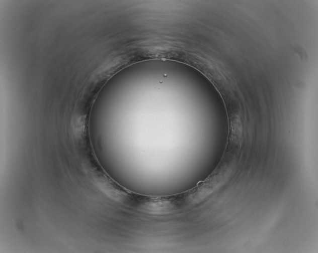 X0000111890278200907231603