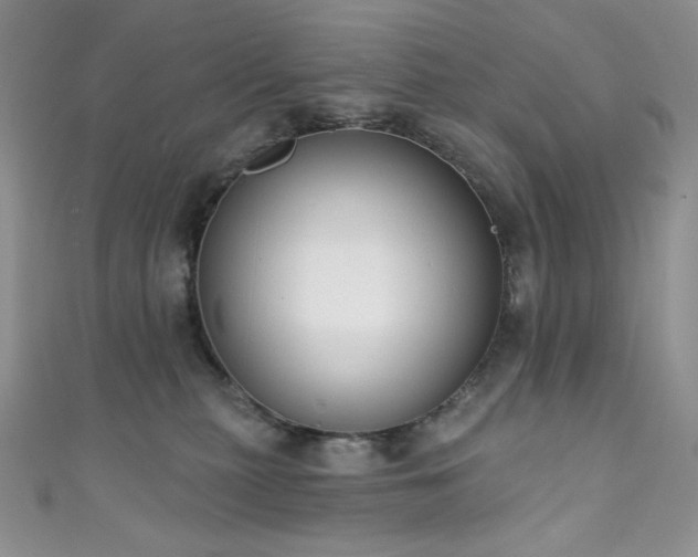 X0000111890279200907231603