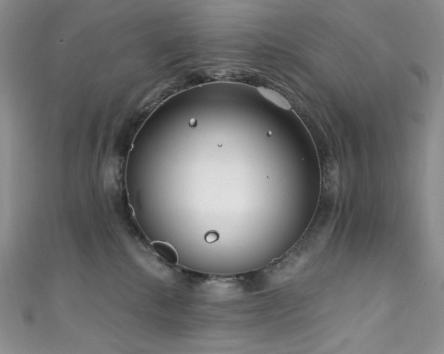 X0000111890280200907231603