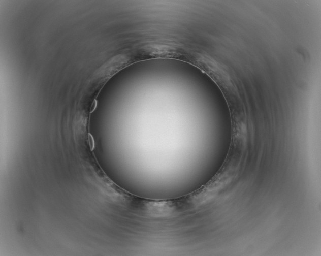 X0000111890281200907231603