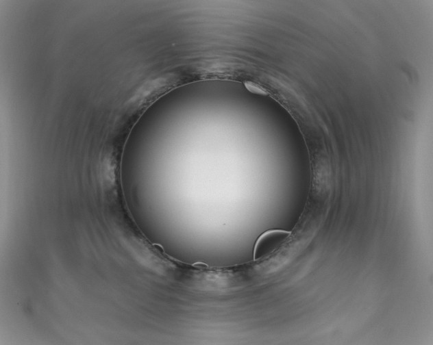 X0000111890282200907231603