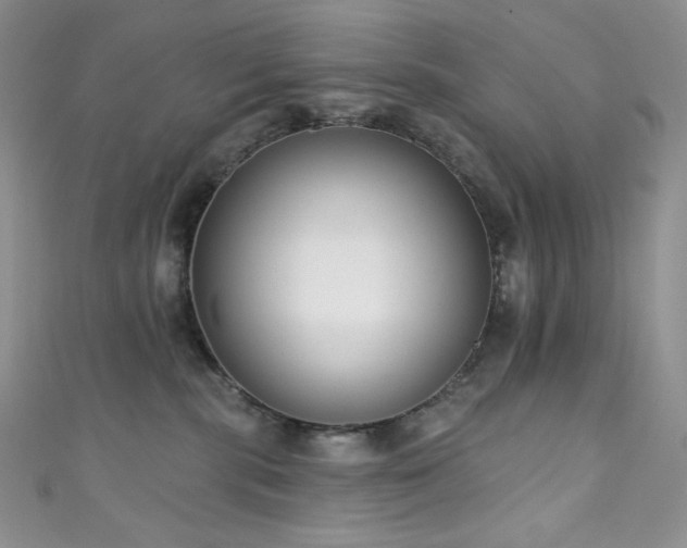 X0000111890283200907231603