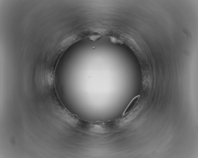 X0000111890285200907231603