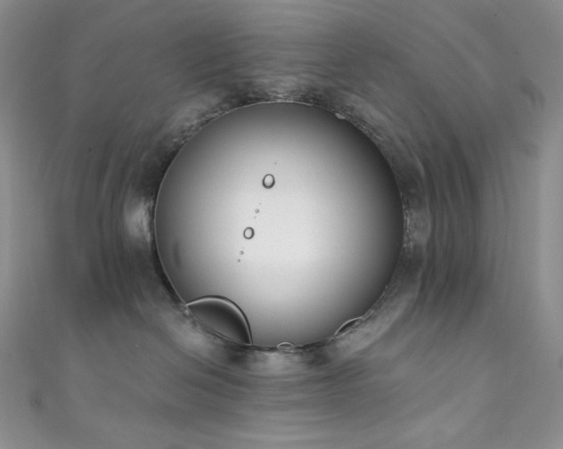 X0000111890286200907231603