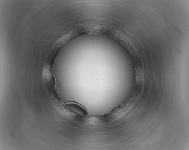 X0000111890287200907231603