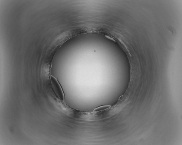 X0000111890288200907231603