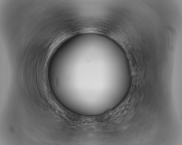 X0000111890289200907231602