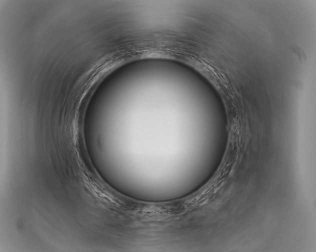 X0000111890290200907231602