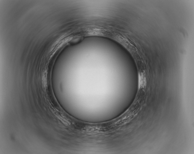 X0000111890291200907231602