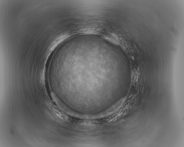 X0000111890292200907231602