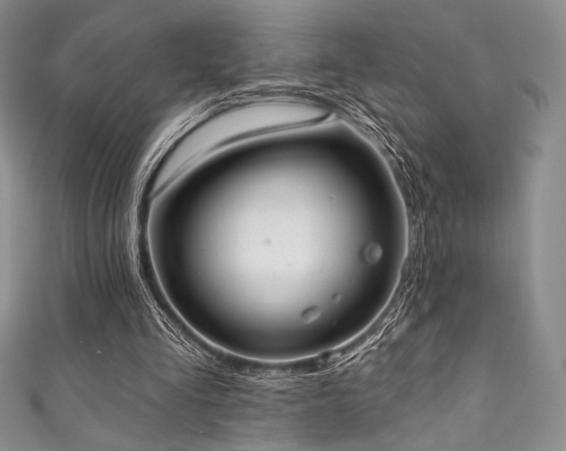 X0000111890293200907231602