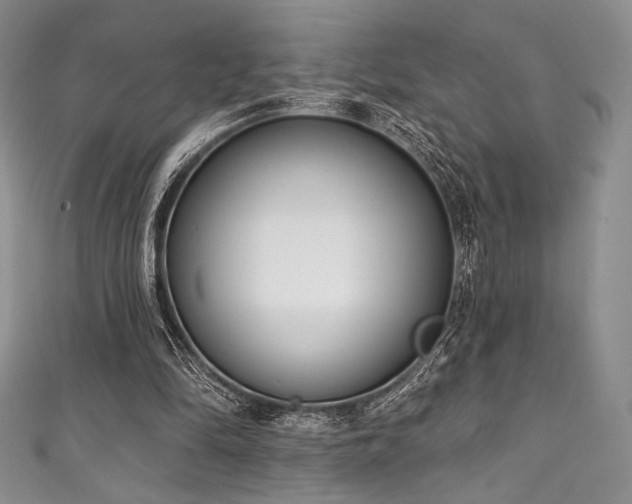 X0000111890294200907231602