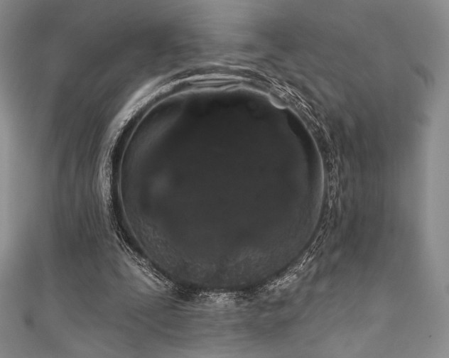 X0000111890295200907231602