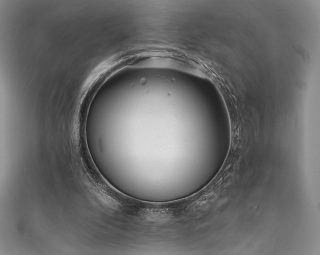 X0000111890296200907231602