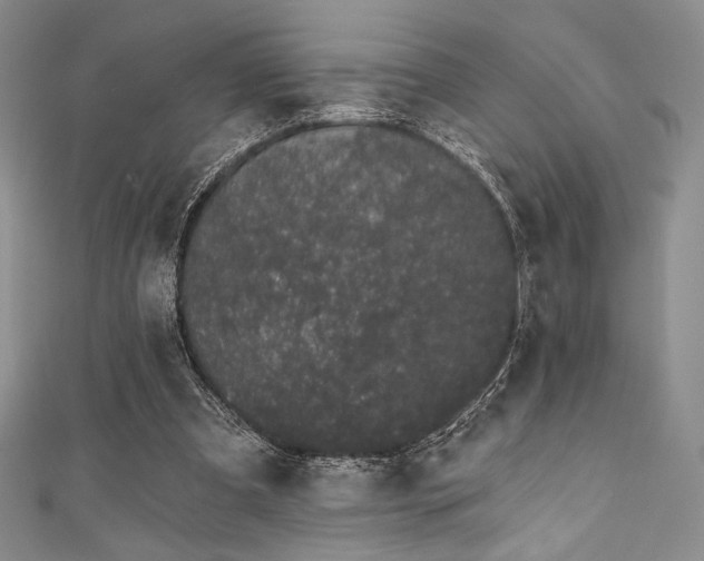 X0000111890297200907231602