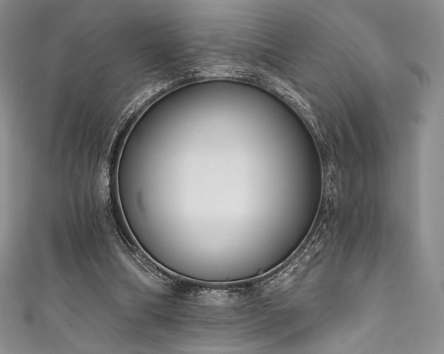 X0000111890298200907231602