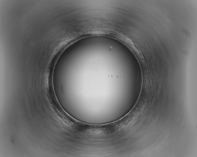 X0000111890299200907231602