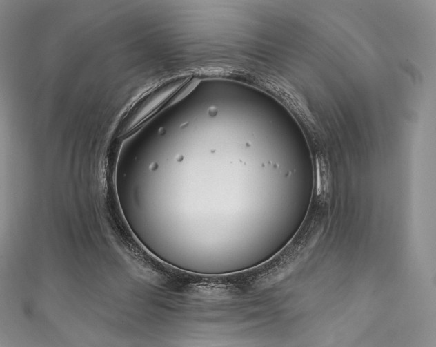 X0000111890300200907231602