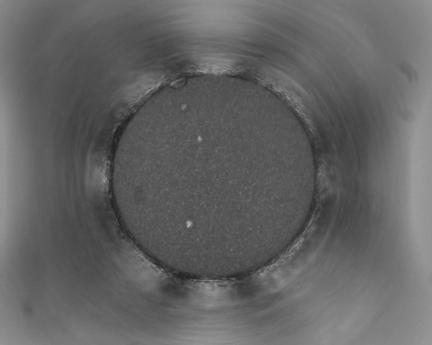 X0000111890305200907231602